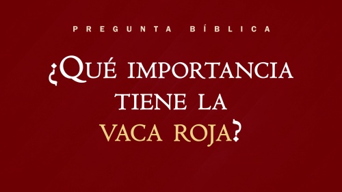 ¿Qué importancia tiene la vaca roja?