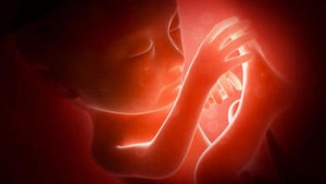 El debate sobre el aborto:  ¿Qué nos dice Dios? 