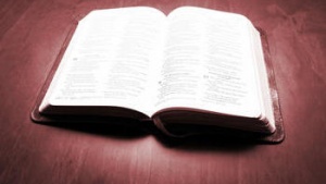 ¿Fue escrita la Biblia para ser entendida?