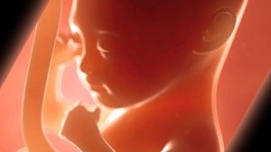 Aborto: ¿A quién obedecer?