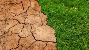 La Tierra se volvió un lugar hostil para el hombre