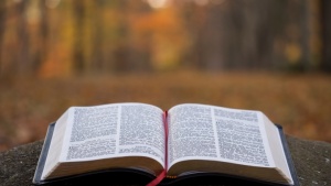 Desde el principio de la Biblia, Dios ha mostrado constantemente gracia, misericordia y su favor a cualquiera que esté dispuesto a arrepentirse y obedecerle, sin importar su etnia.