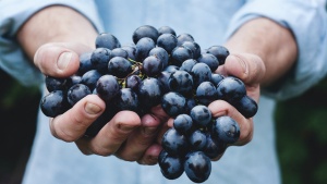 Cómo dar fruto incluso en la vejez