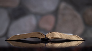 La Biblia habla con toda claridad y autoridad: el matrimonio diseñado por Dios solo es posible entre un hombre y una mujer