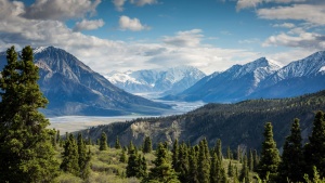 Es imposible imaginar la majestuosidad y belleza de la tierra durante el Reino de Dios. Sin embargo, es el anhelo de toda la creación.