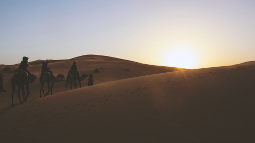 Gente montando camellos en el desierto.