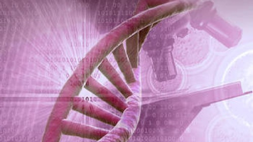 El ADN demuestra el diseño divino