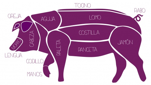 Casi cada centímetro del cerdo es usado por el carnicero para la preparación de alimentos. 