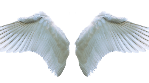 Curiosamente, la Biblia muestra que también hay diferentes clasificaciones de ángeles — ¡no son todos iguales!