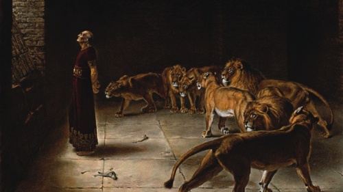 Los ángeles brindaron protección física al profeta Daniel, cerrando la boca de los leones que de otra manera lo habrían matado.