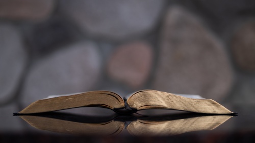 La Biblia habla con toda claridad y autoridad: el matrimonio diseñado por Dios solo es posible entre un hombre y una mujer