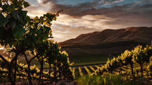 Para ese entonces ya se habían almacenado la cebada, el trigo y la uvas por lo que era un momento de gratitud y regocijo