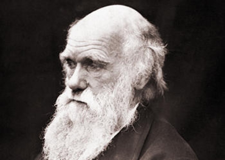 Resultado de imagen para carlos darwin