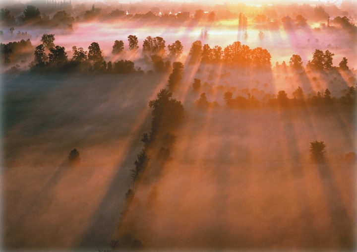 A sunrise over a field with a morning mist.
