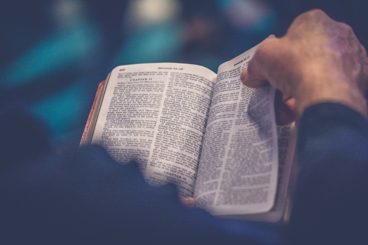 Demuestre usted mismo que la Biblia es la Palabra de Dios. ¿Qué podemos hacer?