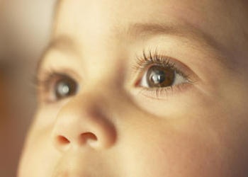 El aborto y el propósito de Dios para la vida humana El aborto y el propósito de Dios para la vida humana