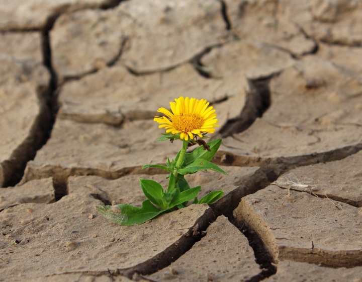 Cuando Dios nos pone frente a algo que nos parece difícil, es porque sabe que por ese camino tenemos que ir para alcanzar sus promesas gloriosas. Cuando Dios nos pone frente a algo que nos parece difícil, es porque sabe que por ese camino tenemos que ir para alcanzar sus promesas gloriosas.