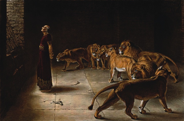 Los ángeles brindaron protección física al profeta Daniel, cerrando la boca de los leones que de otra manera lo habrían matado.
