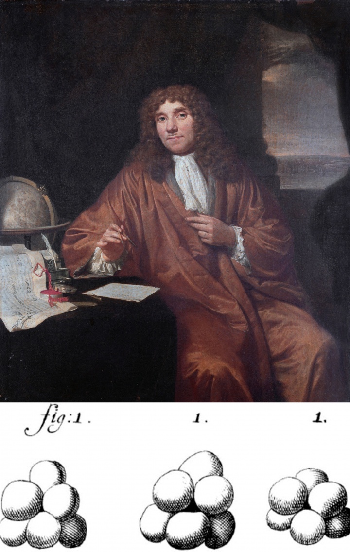 El primer hombre que observó los microorganismos, bacterias, protozoos y levaduras fue el holandés Antonie Van Leeuwenhoek
