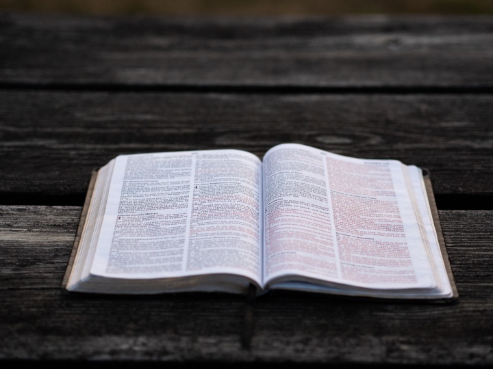 La conclusión bíblica es que Jesucristo fue el agente de la creación a voluntad del Padre, y que tanto el Padre como Cristo estuvieron involucrados en la planificación y el diseño del universo. La conclusión bíblica es que Jesucristo fue el agente de la creación a voluntad del Padre, y que tanto el Padre como Cristo estuvieron involucrados en la planificación y el diseño del universo.