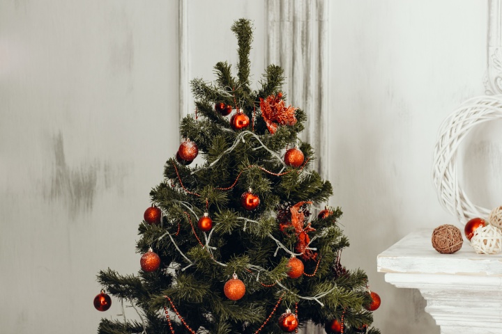 El árbol navideño viene del paganismo 