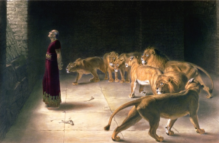 Daniel es protegido de los feroces leones por Dios. En Hebreos 11:33 dice: “por fe… taparon bocas de leones” al referirse a este incidente.