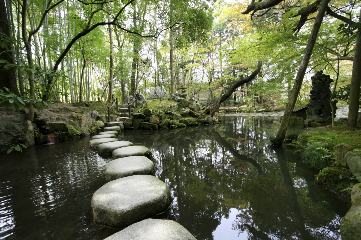 Peldaños de piedra sobre un pequeño estanque.