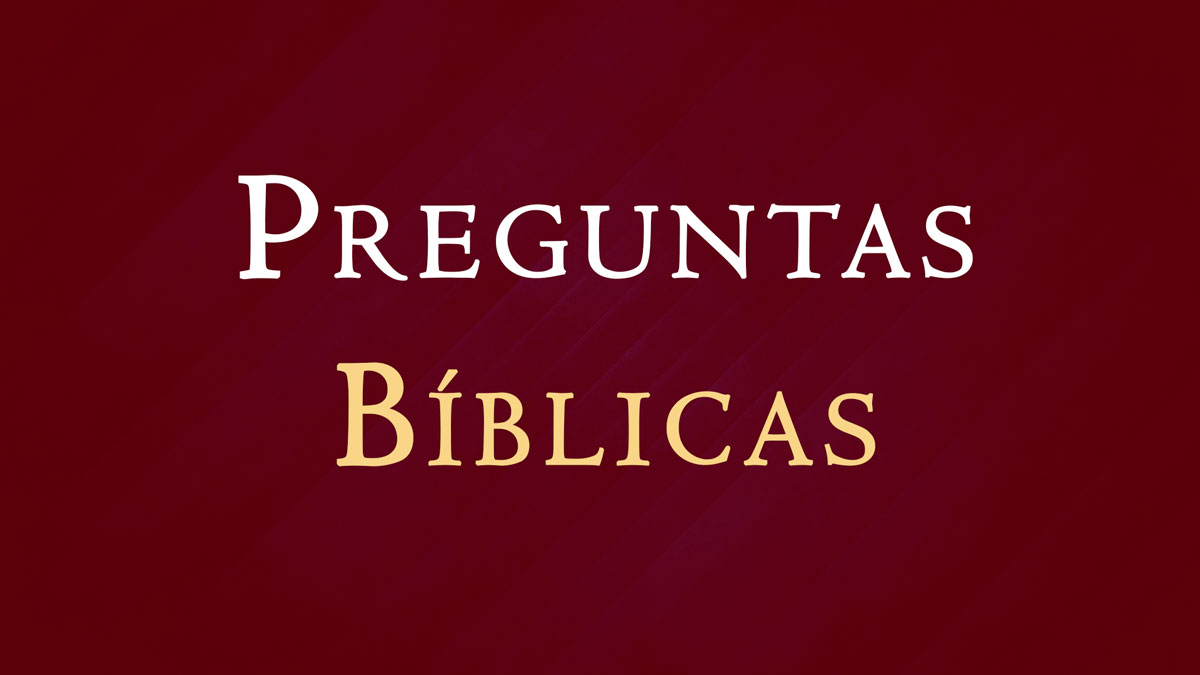 Preguntas