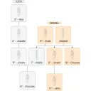 Genealogía de Judá e Israel.