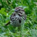 Proverbios: El que conoce el corazón humano