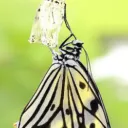 ¿Está dispuesto a cambiar?