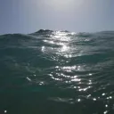 ¿Noé de la película, o Noé del Libro?