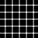 No permitamos el engaño