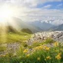 Tiempos de refrigerio