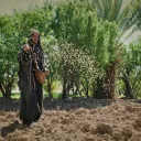 El sembrador y la semilla