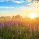Jesucristo, creador del día sábado