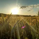 Las Fiestas Santas y nosotros