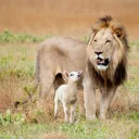 miniestudio-como-comprender-profecias