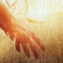 ¿Quién fue Jesús?