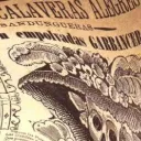 De la vida a la vida