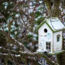 Recientemente he estado buscando un lugar para vivir y de los sitios que he visitado, cada uno ha tenido sus peculiaridades.