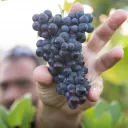 ¿Cómo se manifiesta el carácter santo, justo, puro y perfecto de Dios a medida que se desarrolla en una persona? Dios inspiró a Pablo a enumerar en Gálatas 5:22-23, nueve virtudes clave del carácter de Dios