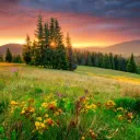 Si cree en Dios y que la Biblia es su Palabra, ¡entonces debe creer que Jesucristo volverá para hacer realidad la promesa de un paraíso aquí en la Tierra y transformar este mundo en un nuevo Edén!