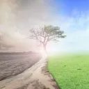 ¡El reinicio de Dios traerá la abolición de la guerra! Sin embargo, esta paz mundial duradera es solo el comienzo de la maravillosa historia.