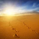 Aprenda a caminar fielmente con Dios en estos tiempos de angustia