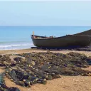 Dejemos nuestras redes para seguir a Cristo