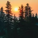 Más allá del horror y las penurias del gobierno humano actual, este es el maravilloso futuro que le espera a la humanidad: un mundo de paz, propósito y abundancia