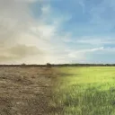 Cinco maneras en que  Jesucristo cambiará el mundo