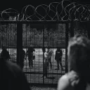 ¿De dónde vienen las guerras y los pleitos? Es porque la naturaleza humana es violenta