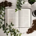 Ocho valores bíblicos  fundamentales